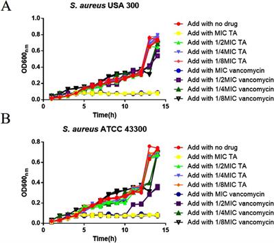 Proteomic study of the inhibitory effects of tannic acid on MRSA biofilm